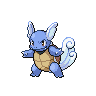 Wartortle