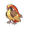 Pidgeot