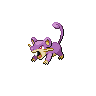 Rattata