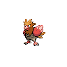 Spearow