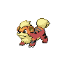 Growlithe