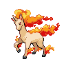 Rapidash