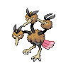 Dodrio