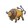 Tauros