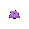 Ditto