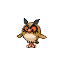 Hoothoot