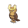 Noctowl