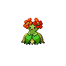 Bellossom