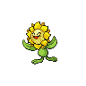 Sunflora