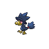 Murkrow