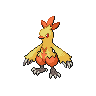 Combusken