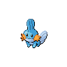 Mudkip