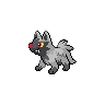 Poochyena