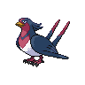 Swellow