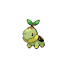 Turtwig