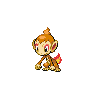 Chimchar