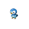 Piplup