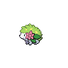 Shaymin (Land Forme)