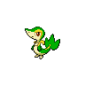 Snivy