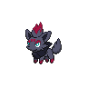 Zorua