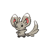 Minccino